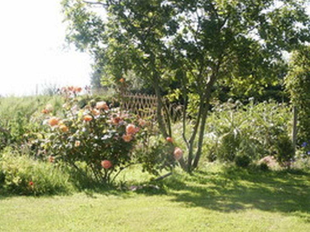 B&B Kerlilou Plouguiel Exteriér fotografie